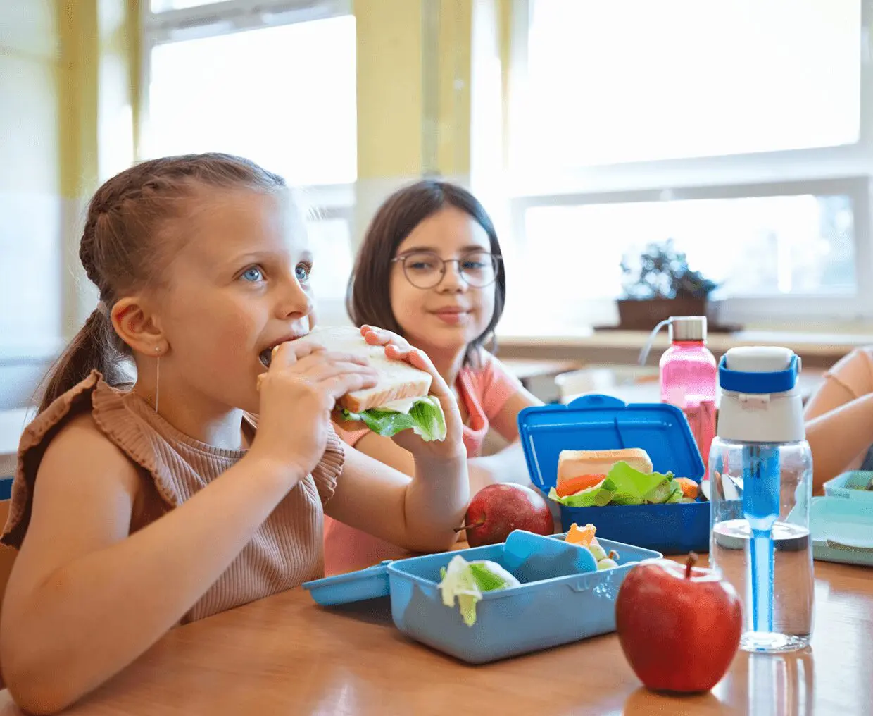 School lunch with healthy snacks